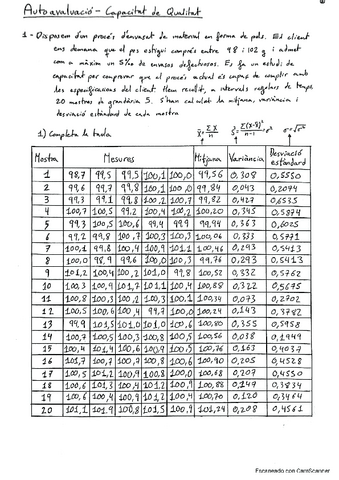 Capacitat-de-Qualitat.pdf