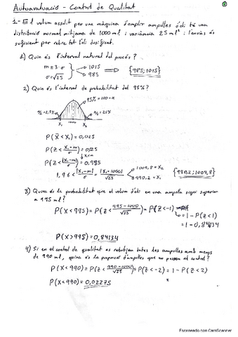 Control-de-qualitat.pdf