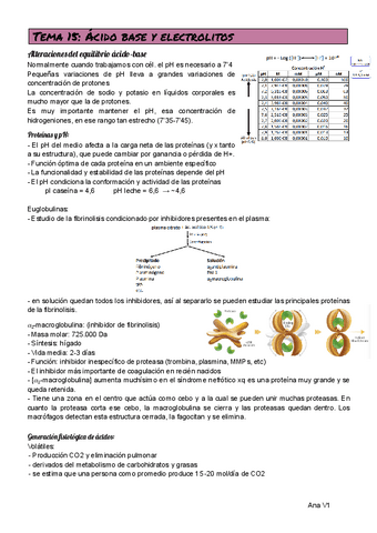 TEMA-15.pdf