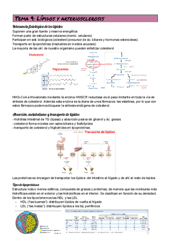 TEMA-9.pdf