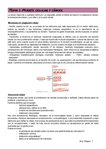 TEMA-1.pdf