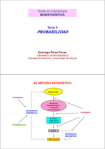 Diapositivas-Tema-9.pdf