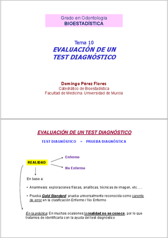 Diapositivas-Tema-10.pdf