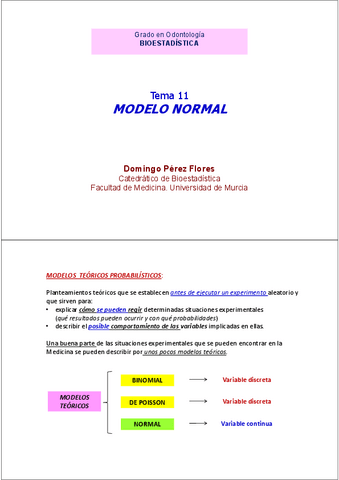 Diapositivas-Tema-11.pdf