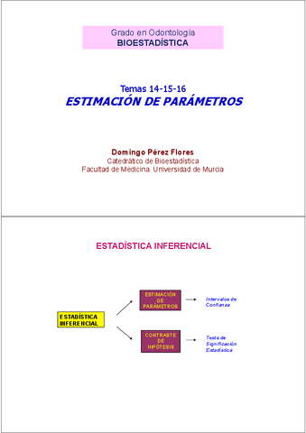 Diapositivas-Temas-14-16.pdf