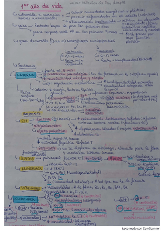IMPRESCINDIBLE-para-las-leches-1pp.pdf