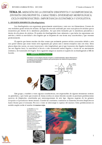 TEMA 10 DIVISIÓN DINOPHYTA Y CHLOROPHYTA.pdf