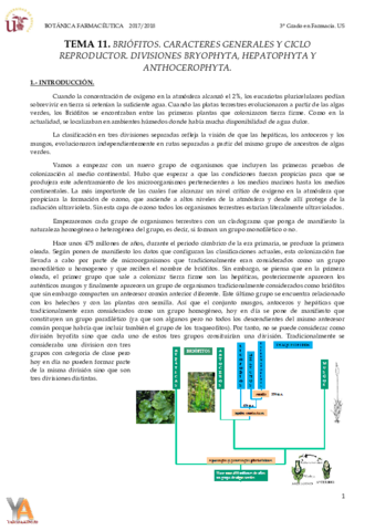 TEMA 11 BRIÓFITOS.pdf