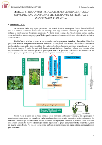 TEMA 12 PTERIDOFITOS.pdf