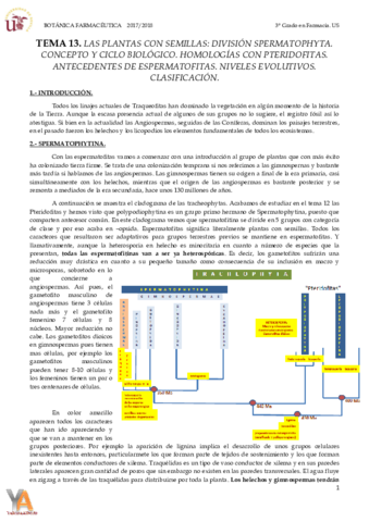 TEMA 13 INTRODUCCIÓN A ESPERMATOFITAS.pdf