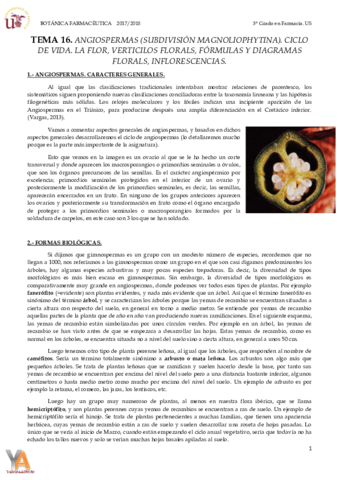 TEMA 17.pdf