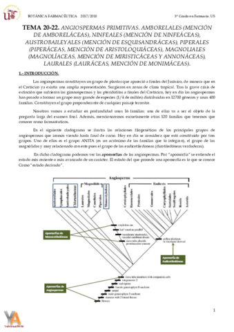 TEMA 20-22 ANGIOSPERMAS PRIMITIVAS.pdf