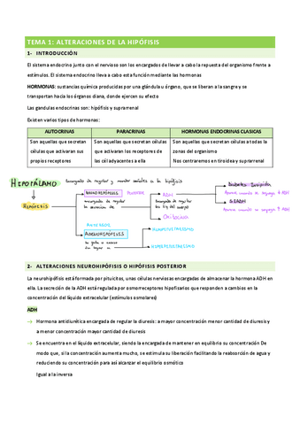 TEMA-1-ADULTO.pdf