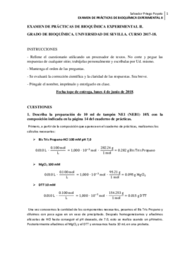 examen prácticas experimental ii.pdf