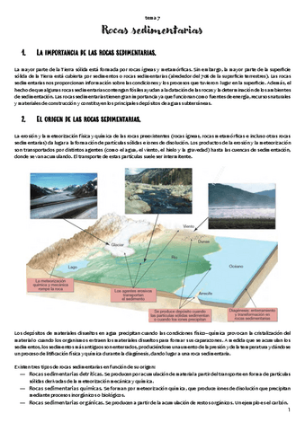 TEMA 7. Rocas sedimentarias.pdf