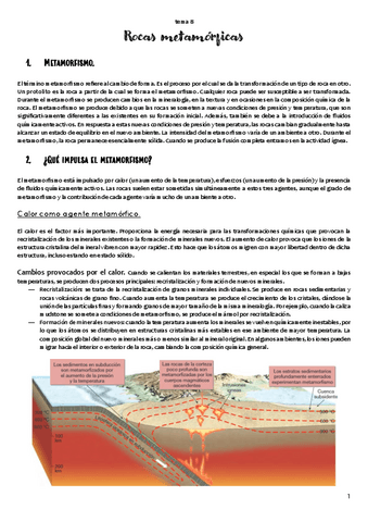 TEMA 8. Metamorfismo y rocas metamórficas.pdf