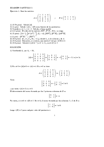 ex2-sol.pdf