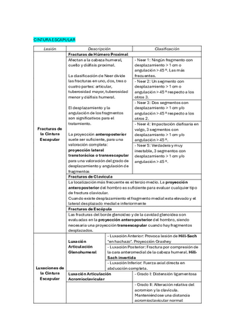 Tabla-extremidad-superior-15-y-16.pdf