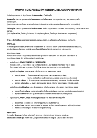 organizacion general del cuerpo humano resumen.pdf