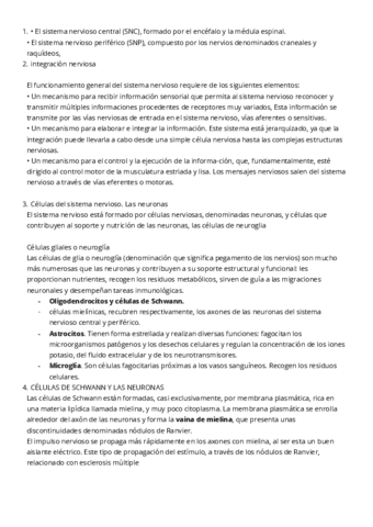sistema nervioso resumen.pdf