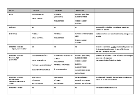 ENZIMAS DIGESTIVAS resumen.pdf