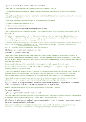sistema respiratorio resumen.pdf