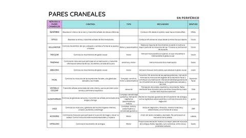pares-craneales.pdf