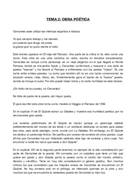 TEMA 2.pdf