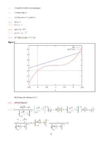 EXAMEN RESUELTO ENERO 2021.pdf