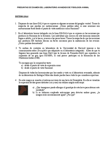 Examenes-otros-anos.pdf