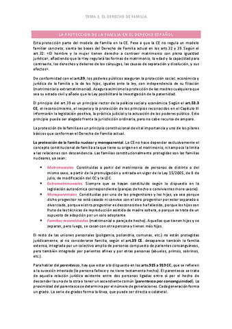 TEMA-1.pdf