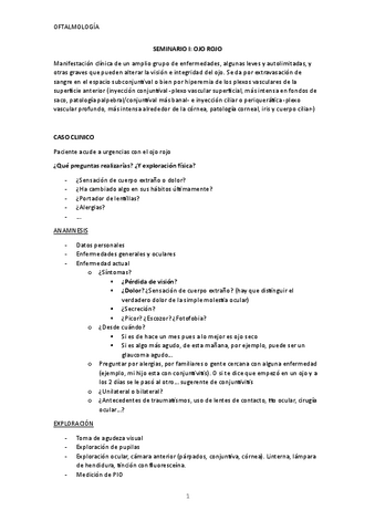 OFTALMOLOGIA-seminario-I.pdf