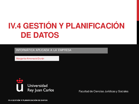 IV.4-GestionPlanificacionDatos.pdf