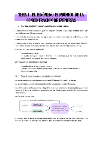 TEMA-1.-el-fenomeno-economico-de-la-concentracion-de-empresas.pdf