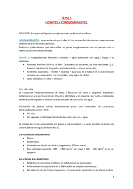 Tema 3. Ligantes y conglomerantes.pdf