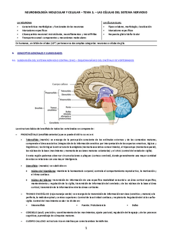 Tema-1-neuro.pdf