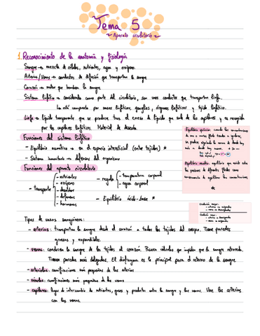 Apuntes-Anatomia-T5.pdf