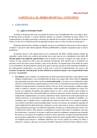 Derecho-Penal-COMPLETO.pdf