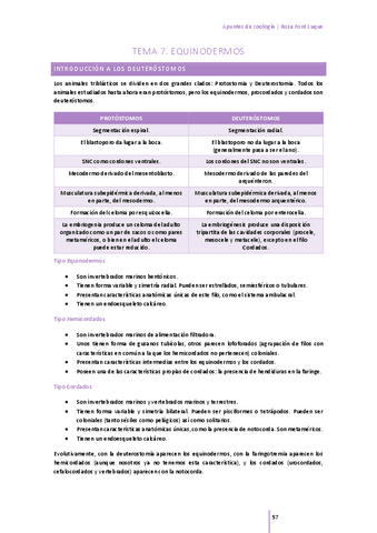 tema-7-equinodermos.pdf