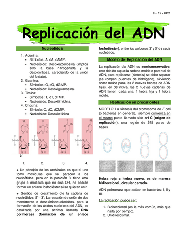 Clase-5-Replicacion-del-ADN.pdf