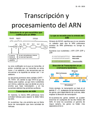 Clase-6-Transcripcion-y-procesamiento-del-ARN.pdf
