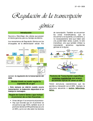 Clase-7-Regulacion-de-la-transcripcion-genica.pdf