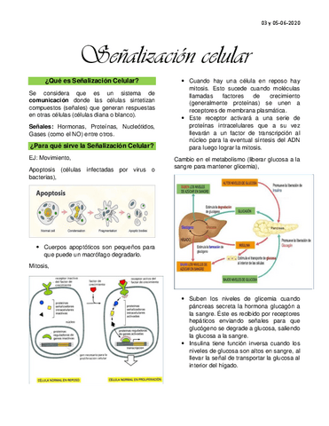 Clase-9-Senalizacion-celular.pdf