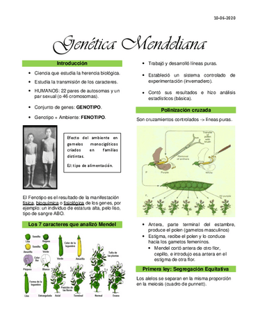 Clase-11-Genetica-Mendeliana.pdf