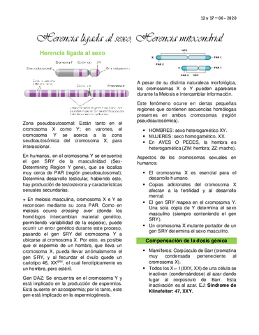 Clase-13-Herencia-ligada-al-sexo-Herencia-mitocondrial.pdf