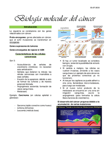 Clase-16-Biologia-molecular-del-cancer.pdf
