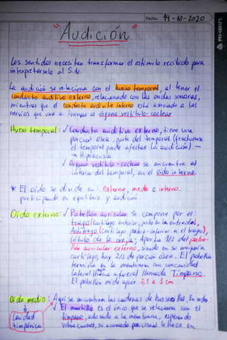 Clase-8-Audicion.pdf