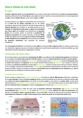 Tema-7.-El-nucleo.pdf