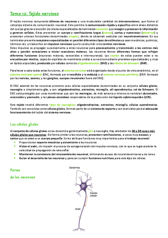 Tema-12.-Tejido-nervioso.pdf