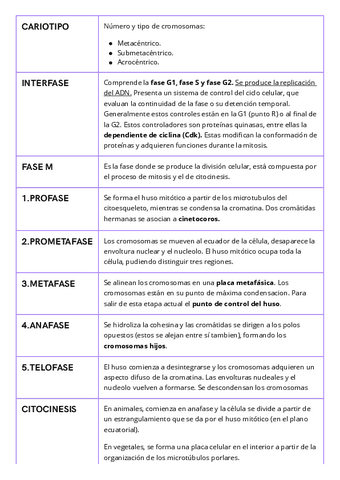 Ficha-Resumen-MITOSIS.pdf